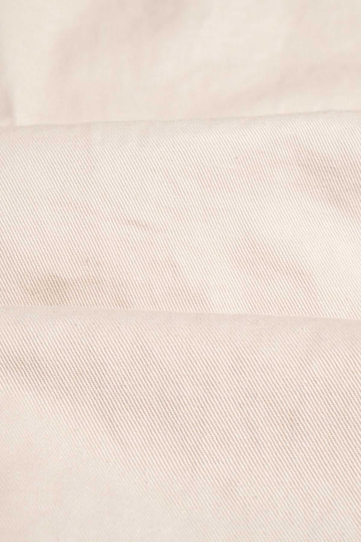 Trunk Double Pleated Chino - Stone